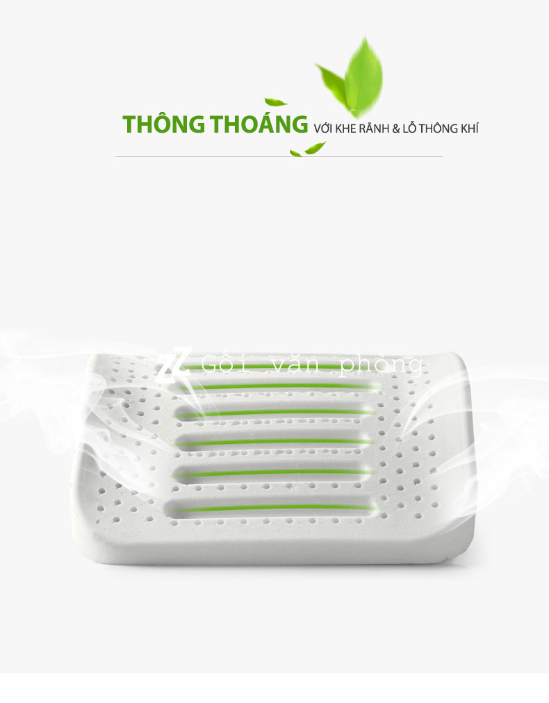 Ruột gối cao su thiên nhiên